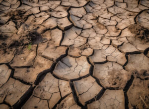 블로그 콘텐츠 아이디어 고갈일 때, 해야 할 일